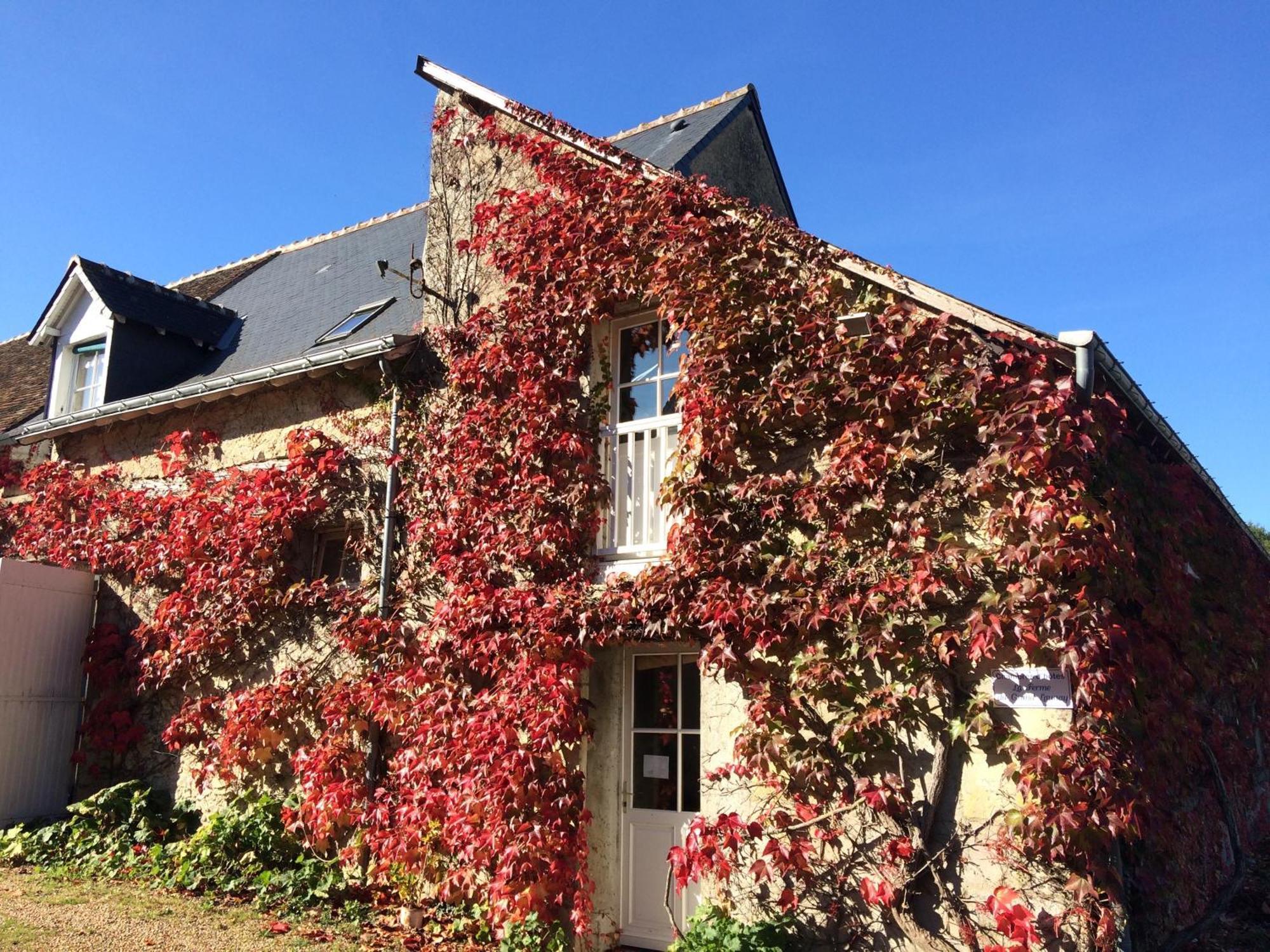 Chambres D'Hotes La Ferme Du Grand Launay Semblançay Exterior foto